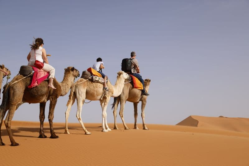 Sunset Desert Camel Trek & Traditional Feast