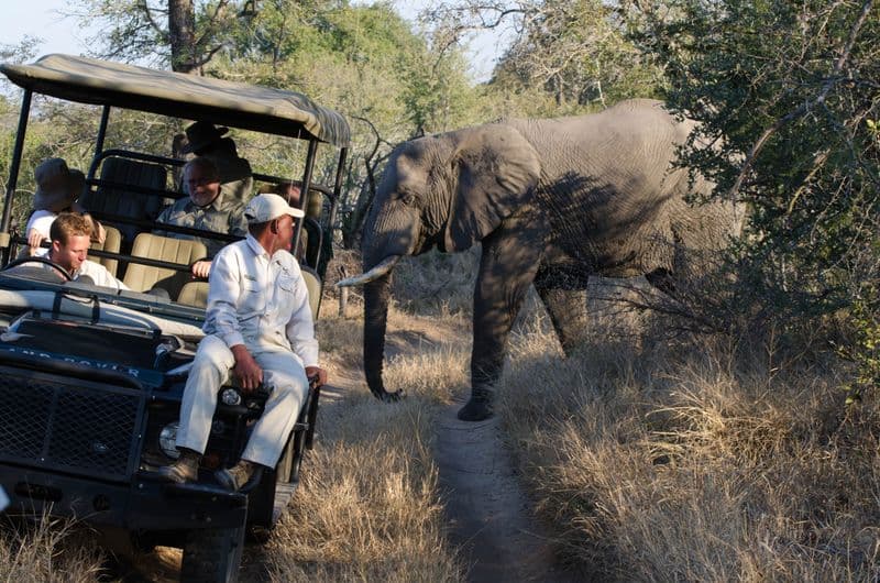 4x4 Jungle & Wildlife Jeep Safari Expedition