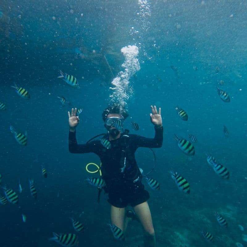 Coral Reef Snorkeling & Sea Turtle Swimming