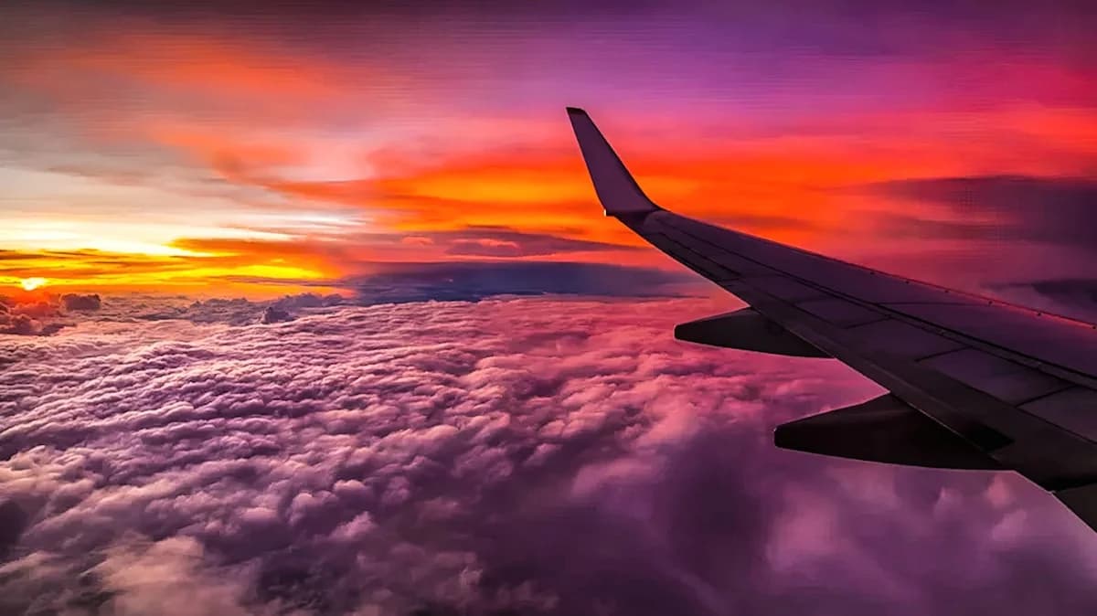 International Flight Deals